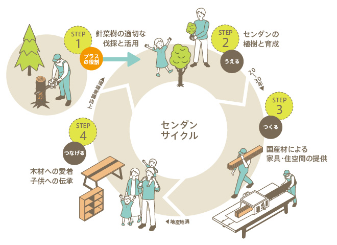 「センダンサイクル」のプロセス